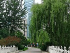 -大望京公园