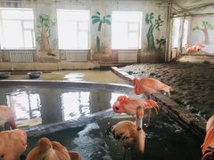-哈尔滨北方森林动物园