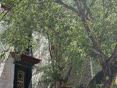 -古树酸奶(八廓南街店)
