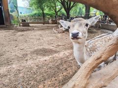 -鄂尔多斯野生动物园