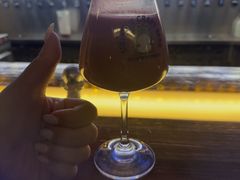 -麦落精酿啤酒餐吧(先农大院店)