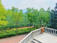 -北京张裕爱斐堡酒庄
