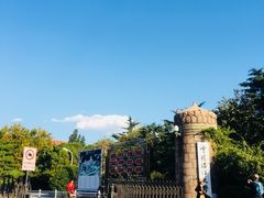 -春风十里咖啡馆