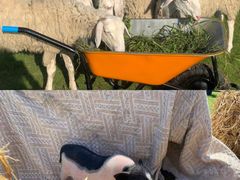 -溪口-滕头旅游景区