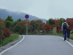 -玉舍国家森林公园