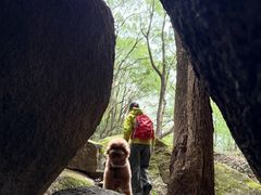 -青芝山风景名胜区