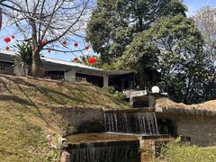 -凤阁楼果木烧鹅(鹤山陈山店)