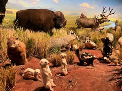 -陕西自然博物馆