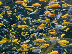 -临沂极地海洋王国