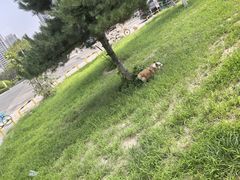 -心仪动物医院·牙专科·肿瘤·心脏科(西客站院)