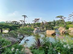 -罗红摄影艺术馆