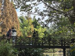 -桤木河湿地公园