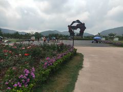 -亚龙湾国际玫瑰谷