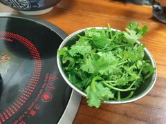 -藏书金记家宝羊肉馆(黄河北路店)