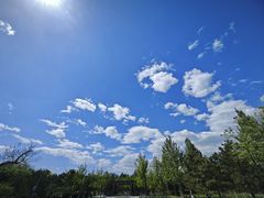 -莲花池公园