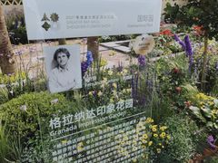-深圳仙湖植物园