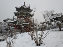 -迎泽公园