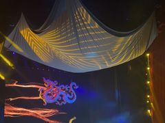 -水秀国际大剧院