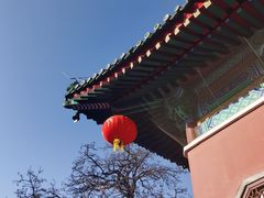 -天津大悲禅院