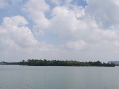 -丁香湖公园