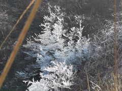 -萍乡武功山风景名胜区