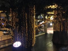 -云顶高原
