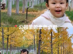 -汉长安城未央宫国家考古遗址公园