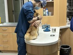 -联合动物医院(光谷诊疗中心)