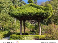 -云溪植物园