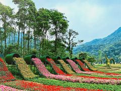 -广州市石门国家森林公园