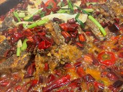 -老板恋上鱼(恒隆广场店)