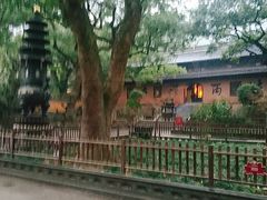 -普陀山风景名胜区-法雨禅寺