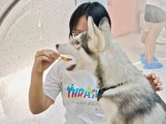 -Husky Go!哈士奇体验馆·宠物咖啡厅狗咖