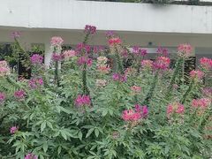 -人民公园(罗湖区)