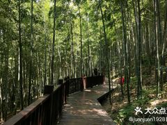 -上海佘山国家森林公园天马山园