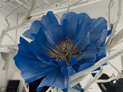 -花邻FloweringLife花艺气球派对(武康大楼店)