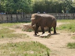 -西安秦岭野生动物园