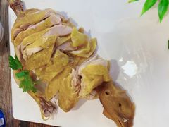 -鱼乐乐(Happy Fish)