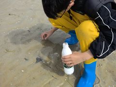 -红树林天天赶海