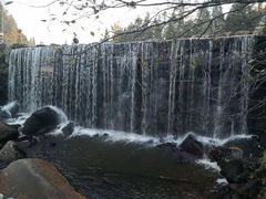 -汤旺河林海奇石景区