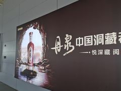 -合肥新桥国际机场-航站楼