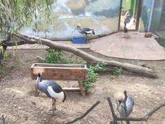 -济南野生动物世界