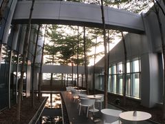 -罗浮宫索菲特酒店餐饮部