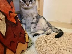-小时光咖啡馆(开森度假森林店)