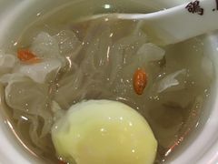 -鸽鸟轩(石岐店)