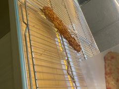 -野人先生现做冰淇淋(西安赛格店)