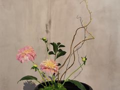 -青竺·青竹茶舍(断桥店)