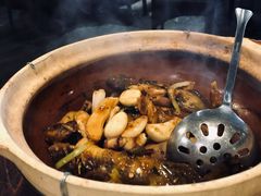 乳鸽炆黄骨鱼-七寸飝大饭店(马场店)