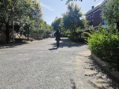-观澜小洱海