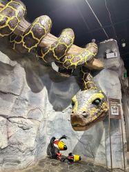 -Zoolung Zoolung动物主题公园(海信广场店)